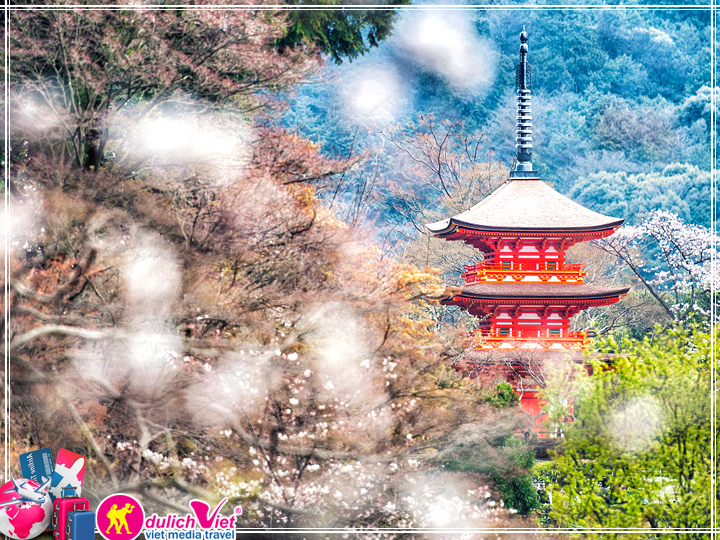 Du lịch Nhật Bản ngắm hoa Anh Đào dịp Tết âm lịch 2018 từ Tp.HCM